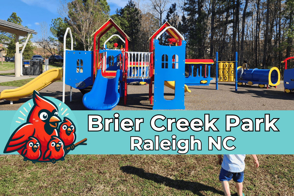 Brier Creek Park In Brier Creek, Nc: What To Know Before You Go 